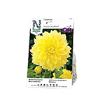 Blomsterløk