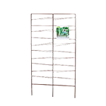 Espalier