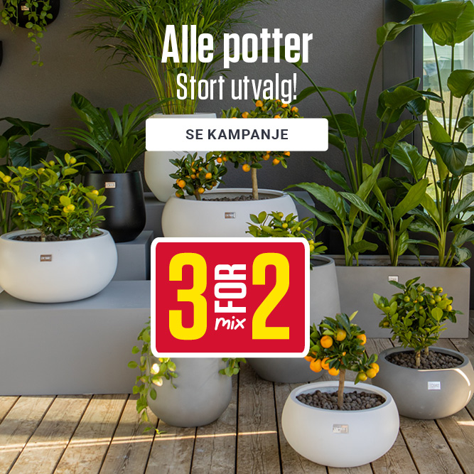 Mix 3 for 2 alle potter 