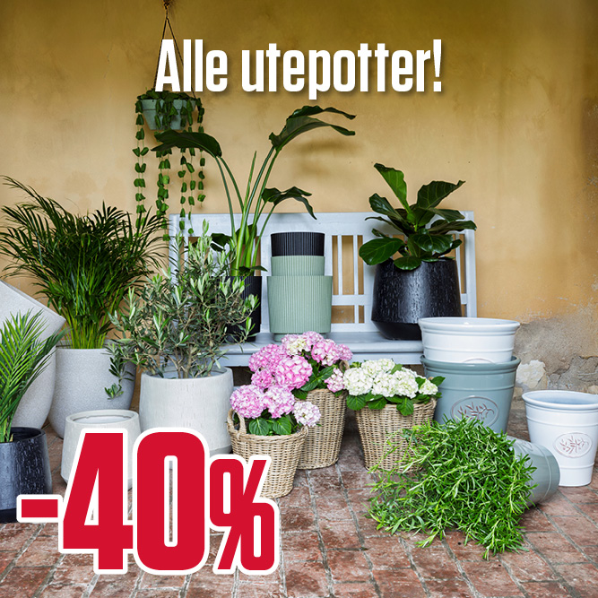 -40% alle utepotter!