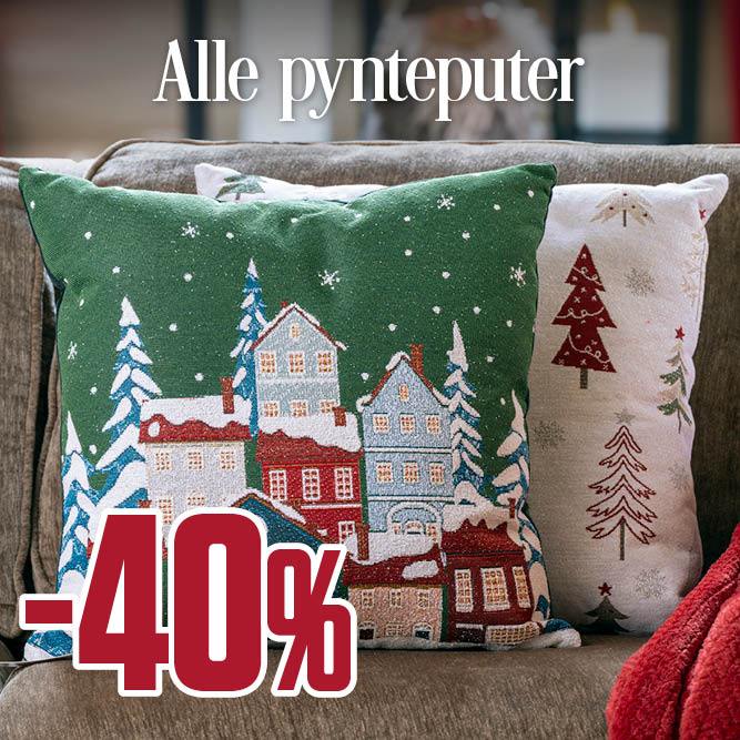 -40 % alle pynteputer
