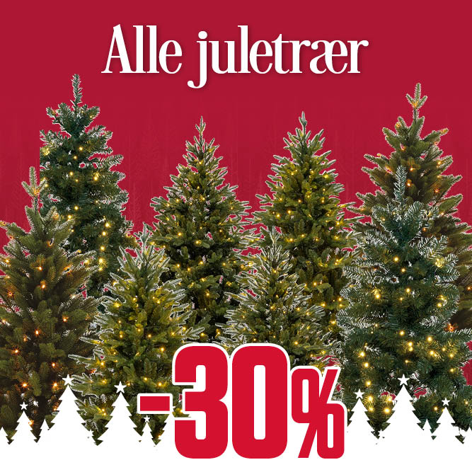 -30% alle juletrær