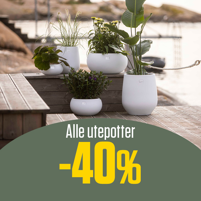 -40 % alle utepotter