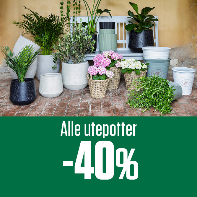 -40 % alle utepotter 