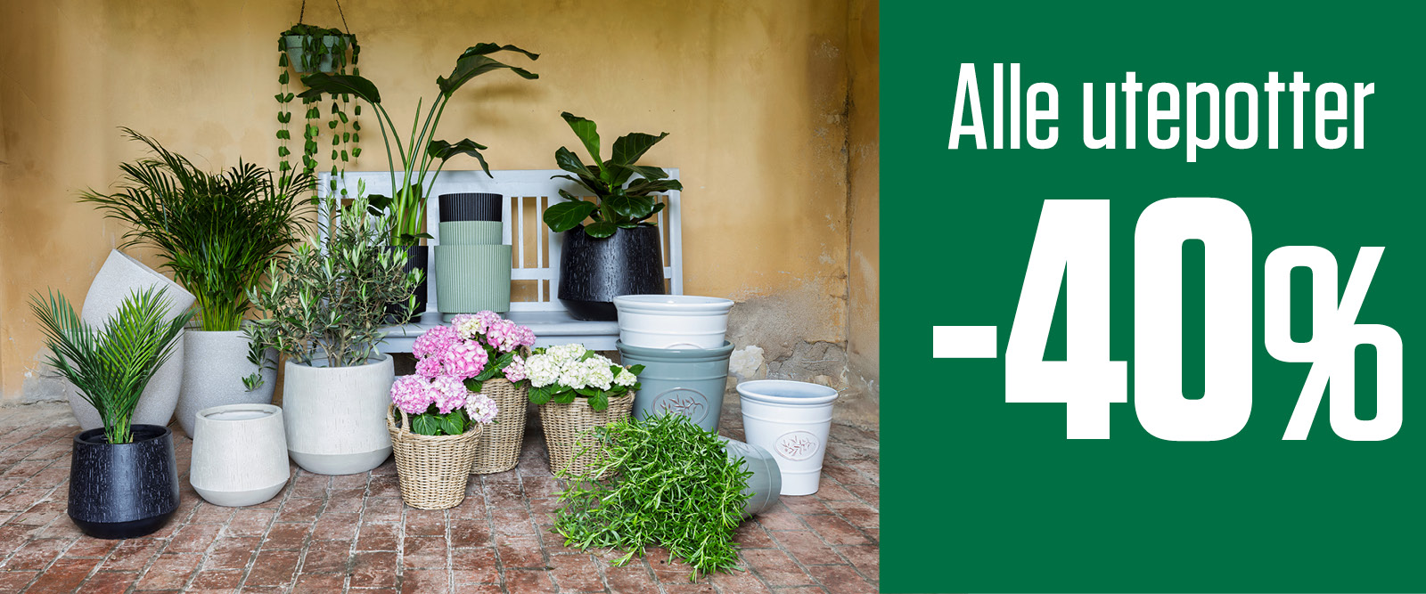-40 % alle utepotter 