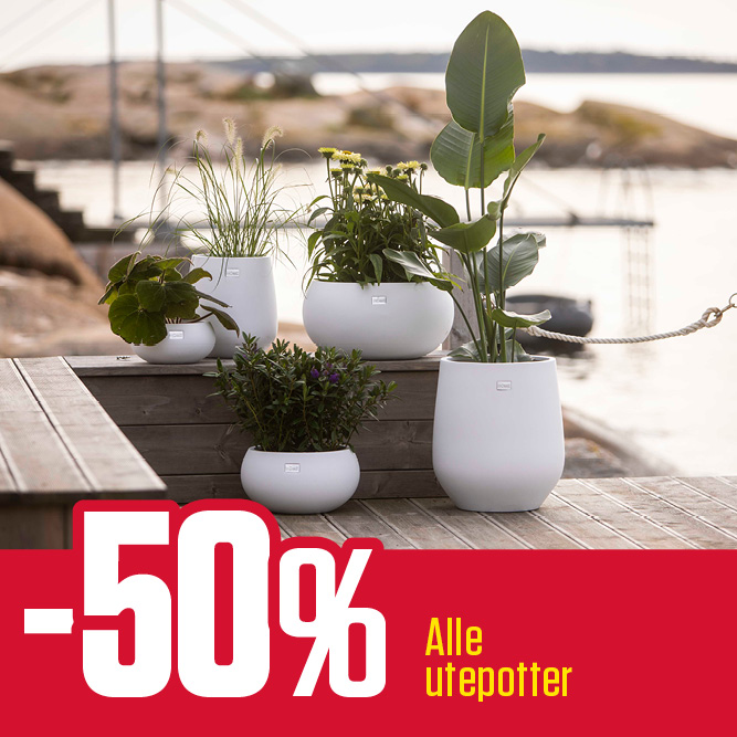 -50 % alle utepotter!