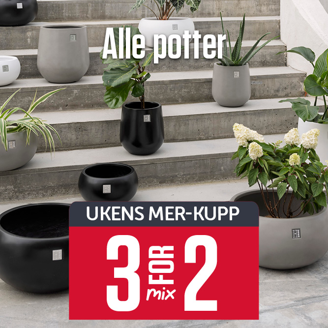 Alle potter 3 for 2