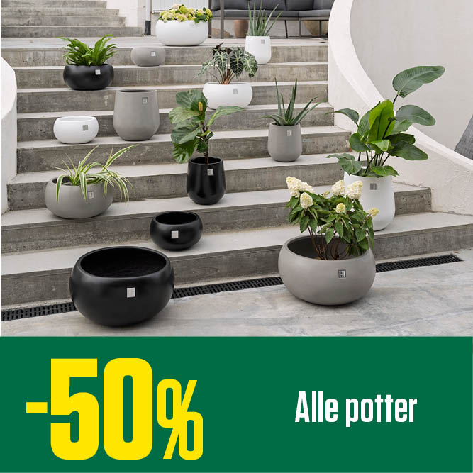 - 50 % Alle potter