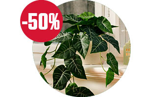 Kunstige planter