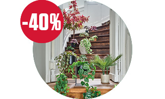 Kunstige planter