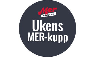 MER-kupp
