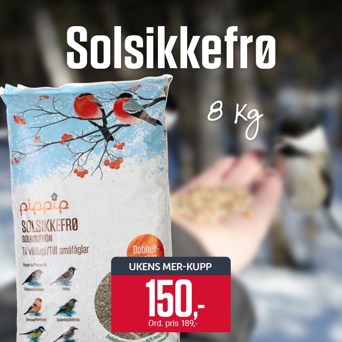 Nå 150,- Solsikkefrø 8 kg